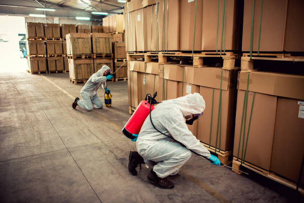 Best Best Pest Control Near Me  in Level Plains, AL