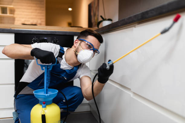 Best Pest Control Near Me  in Level Plains, AL