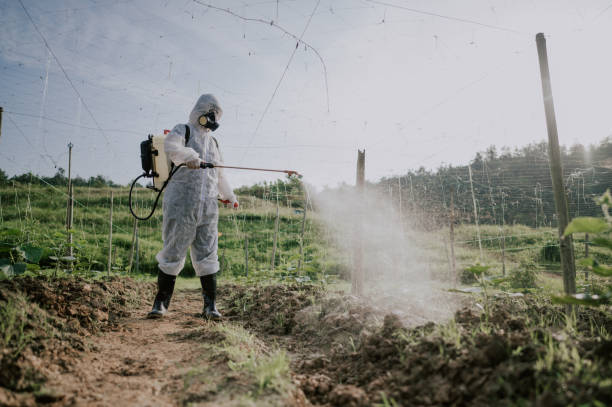 Best Local Pest Control Services  in Level Plains, AL