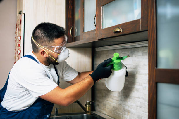Best Cockroach Control Services  in Level Plains, AL