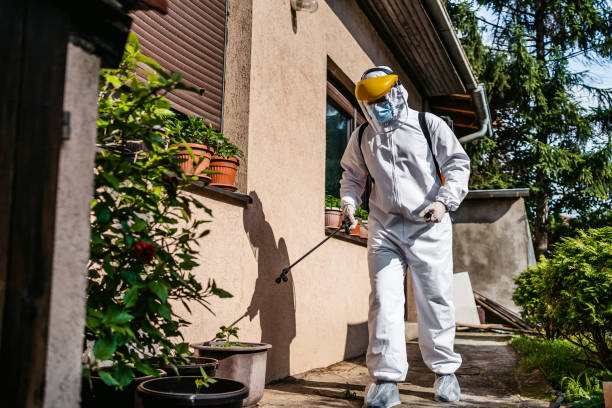 Best Residential Pest Control  in Level Plains, AL