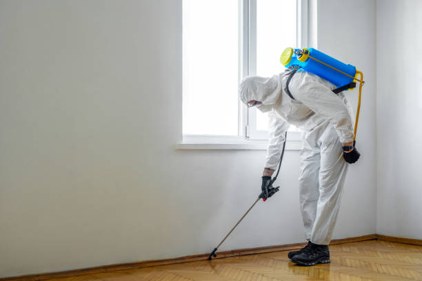 Best Residential Pest Control  in Level Plains, AL
