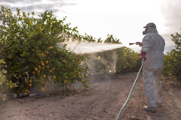Professional Pest Control in Level Plains, AL