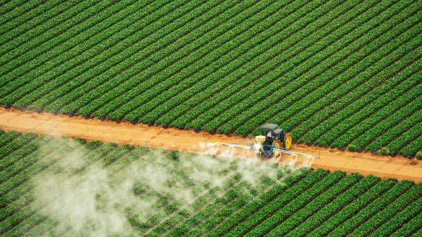Best Wildlife Control Services  in Level Plains, AL