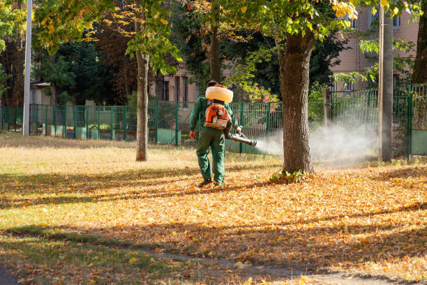 Best Best Pest Control Companies  in Level Plains, AL