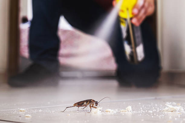 Best Pest Control Near Me in Level Plains, AL